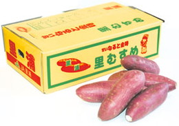 鳴門市里浦産　なると金時里むすめ5kg詰め